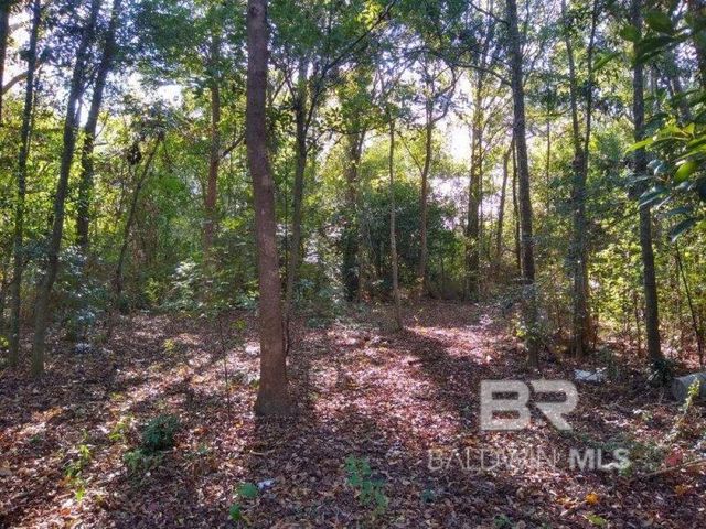 0 New Era Road, Fairhope, AL 36532