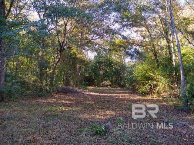 0 New Era Road, Fairhope, AL 36532