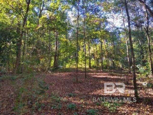 0 New Era Road, Fairhope, AL 36532