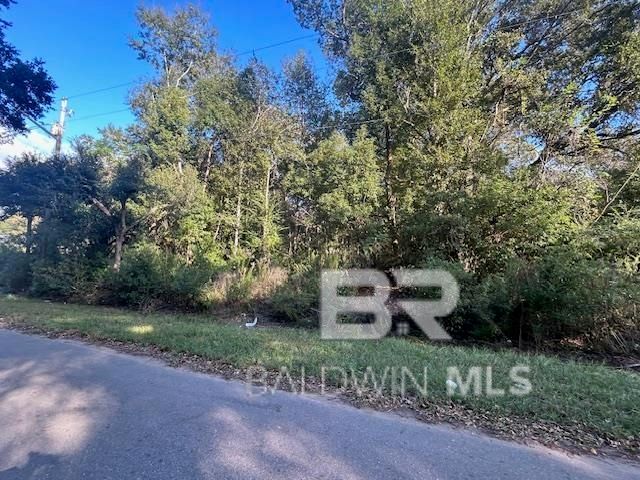 0 New Era Road, Fairhope, AL 36532