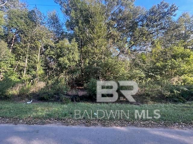 0 New Era Road, Fairhope, AL 36532