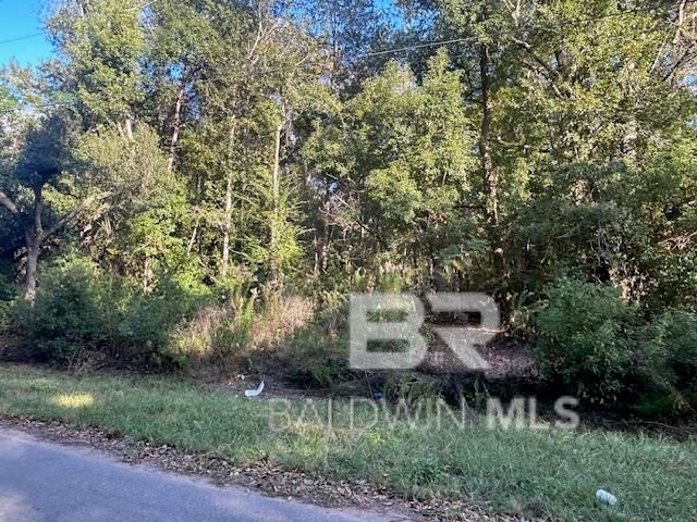 0 New Era Road, Fairhope, AL 36532
