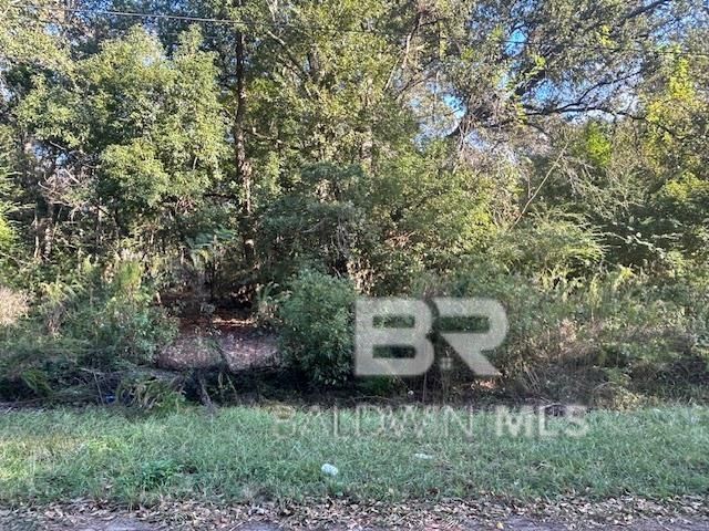 0 New Era Road, Fairhope, AL 36532