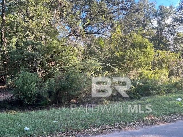 0 New Era Road, Fairhope, AL 36532