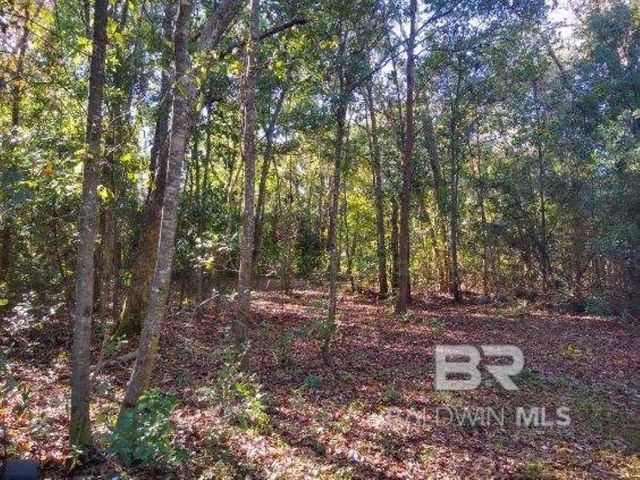 0 New Era Road, Fairhope, AL 36532