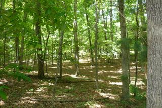 0 Givens Tyler RD, Salem, VA 24153