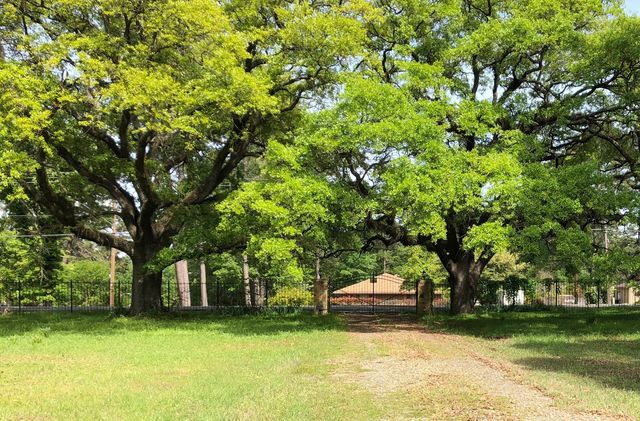 3414 Curtis Lane, Shreveport, LA 71109