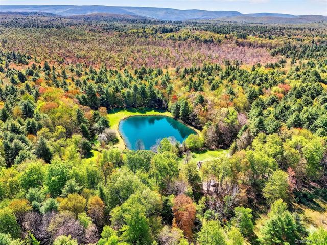 Spook Hole Road, Ellenville, NY 12428