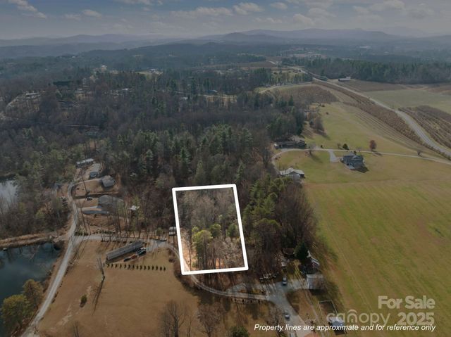 99999 Twin Lakes Drive, Flat Rock, NC 28792