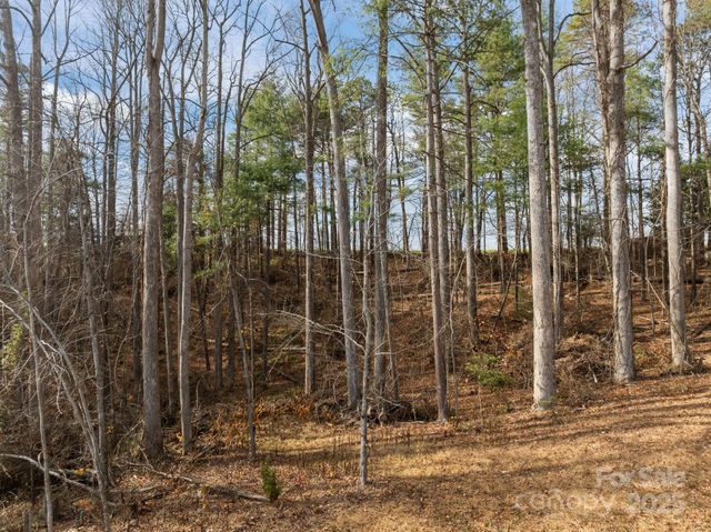 99999 Twin Lakes Drive, Flat Rock, NC 28792