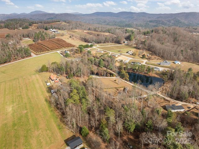 99999 Twin Lakes Drive, Flat Rock, NC 28792