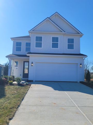 325 Mammoth Trace, Smyrna, TN 37167