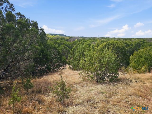 880 County Road 158, Evant, TX 76525
