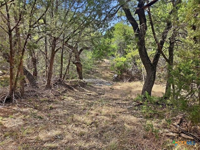 880 County Road 158, Evant, TX 76525