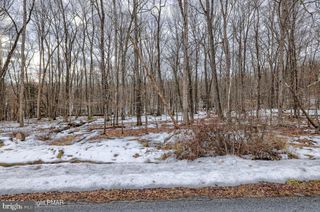Lot 17 POCONO MOUNTAIN LAKE DRIVE, Bushkill, PA 18324