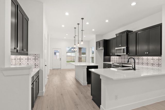 664 Crested Duck Court, Willis, TX 77318