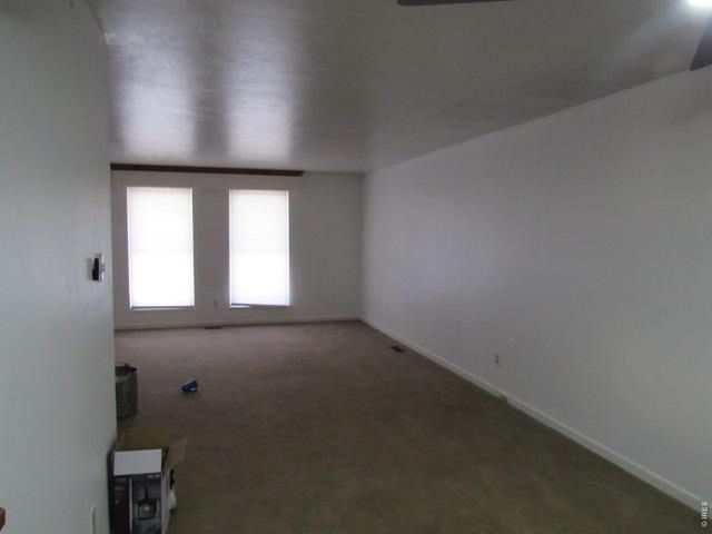 2551 S Hoyt Ct, Lakewood, CO 80227