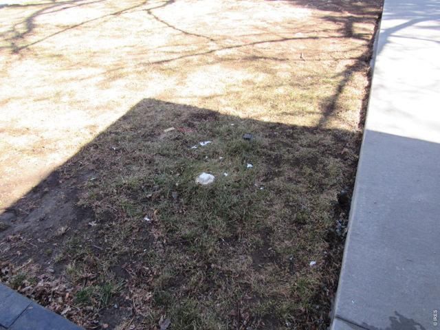 2551 S Hoyt Ct, Lakewood, CO 80227