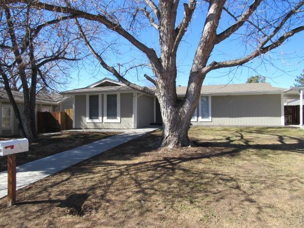 2551 S Hoyt Ct, Lakewood, CO 80227