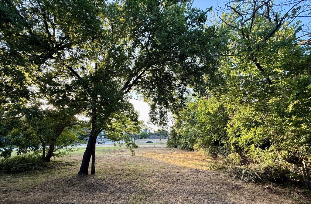 1305 Waterman Street, Fort Worth, TX 76102
