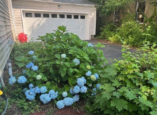 22 Bluff Ave, Fitchburg, MA 01420