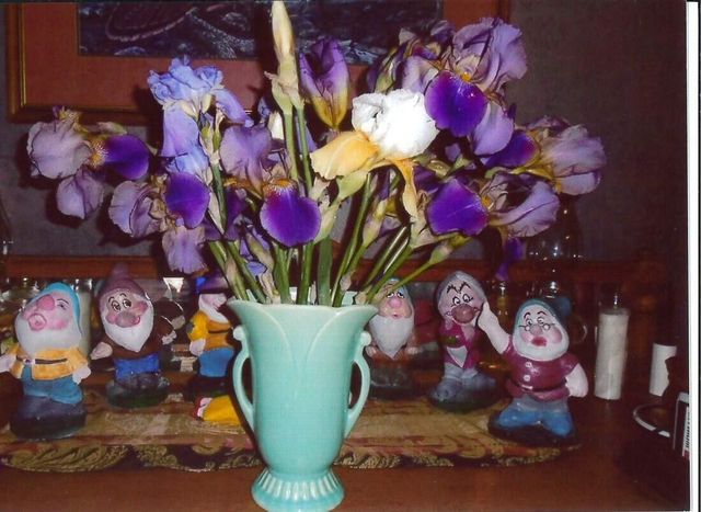 11511 County Road 5340, Rolla, MO 65401