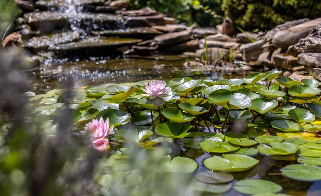 11511 County Road 5340, Rolla, MO 65401