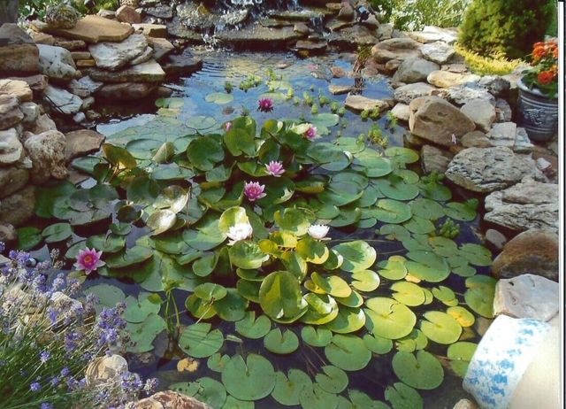 11511 County Road 5340, Rolla, MO 65401