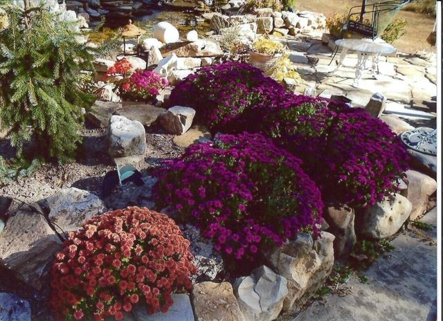 11511 County Road 5340, Rolla, MO 65401