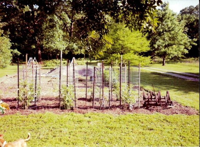 11511 County Road 5340, Rolla, MO 65401