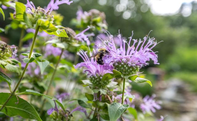 11511 County Road 5340, Rolla, MO 65401