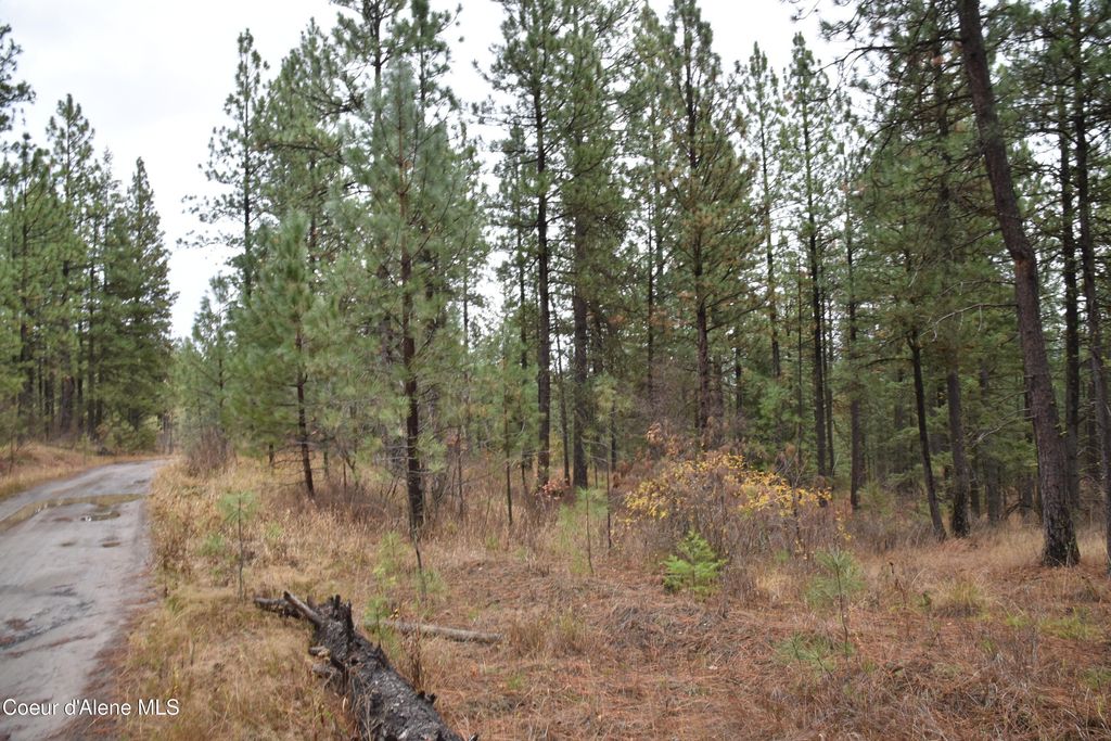 NKA Shady Ln, Desmet, ID 83824 photo 2