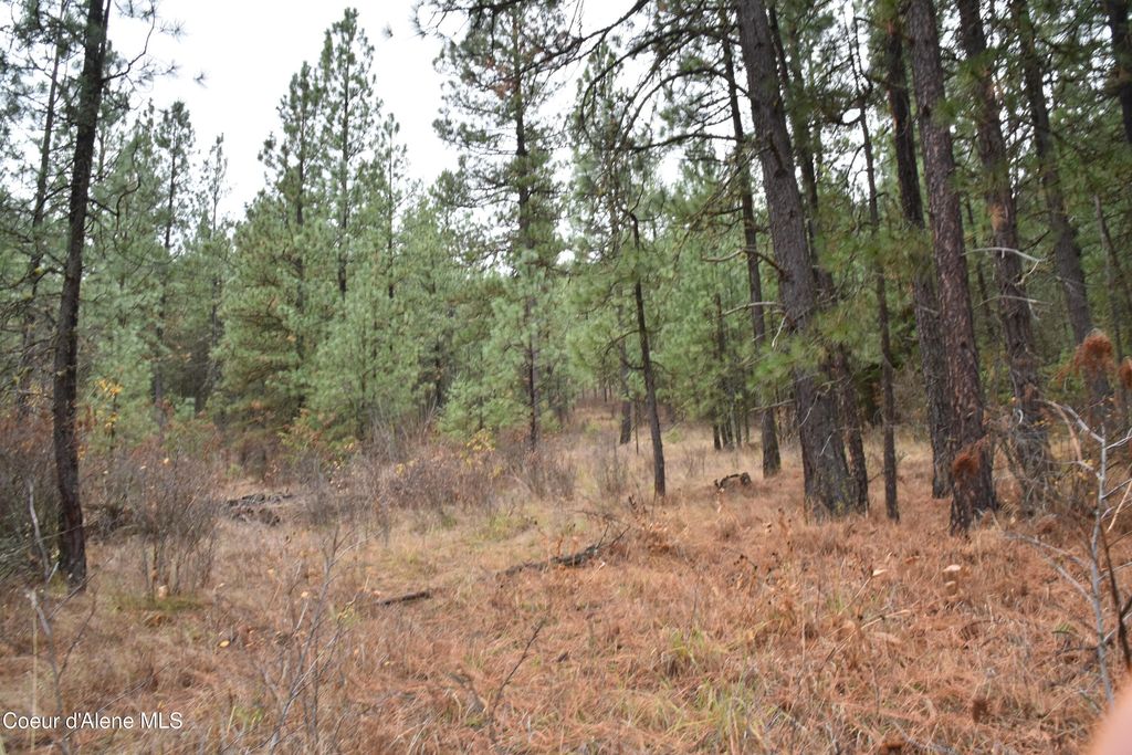 NKA Shady Ln, Desmet, ID 83824 photo 3