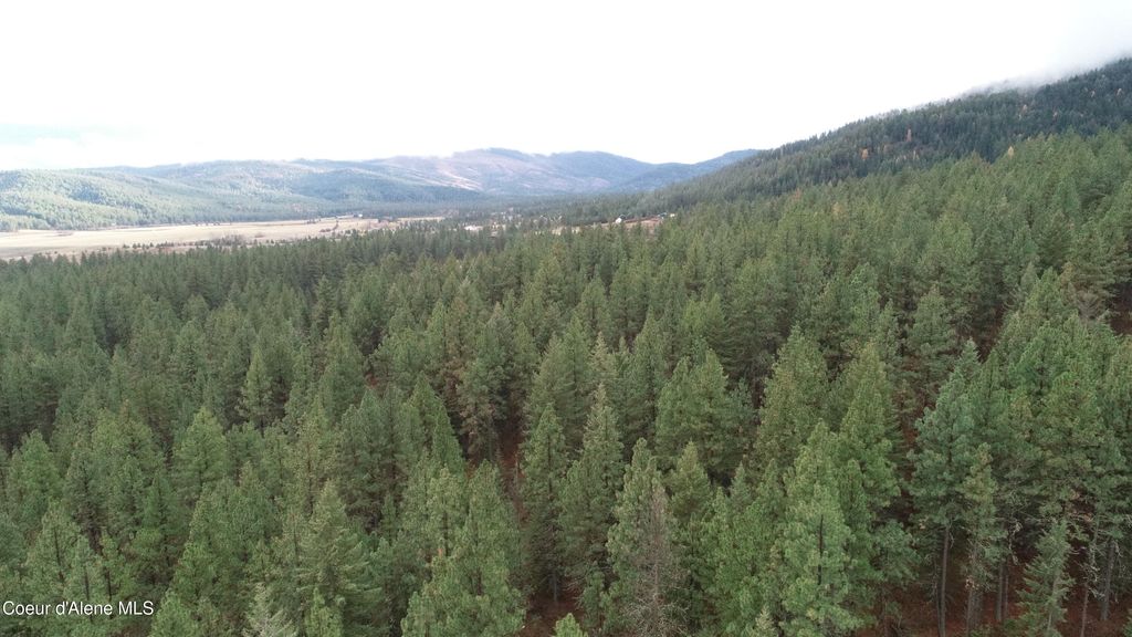 NKA Shady Ln, Desmet, ID 83824 photo 5