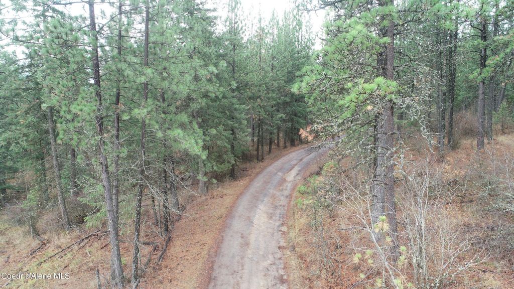 NKA Shady Ln, Desmet, ID 83824 photo 7