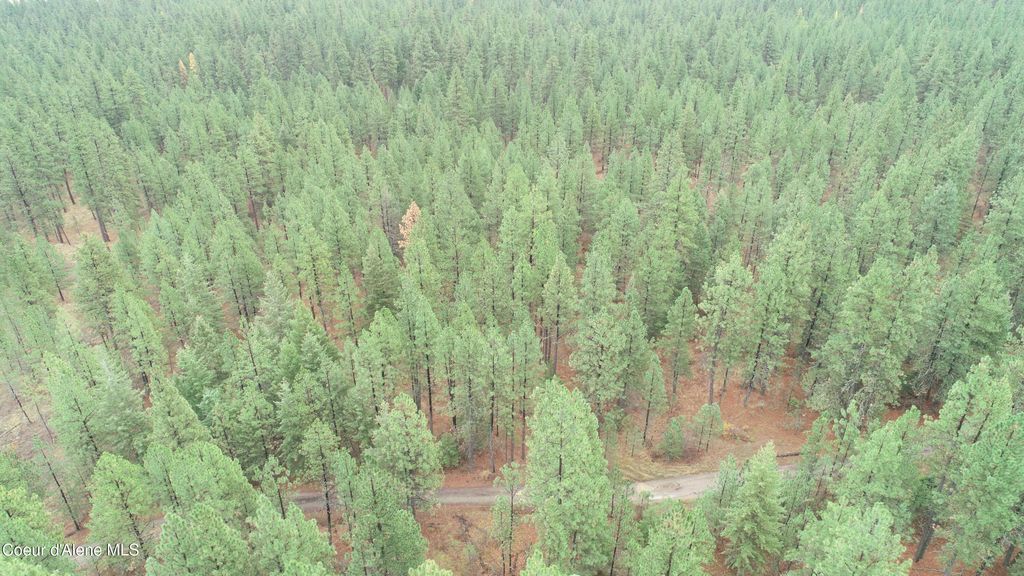 NKA Shady Ln, Desmet, ID 83824 photo 8