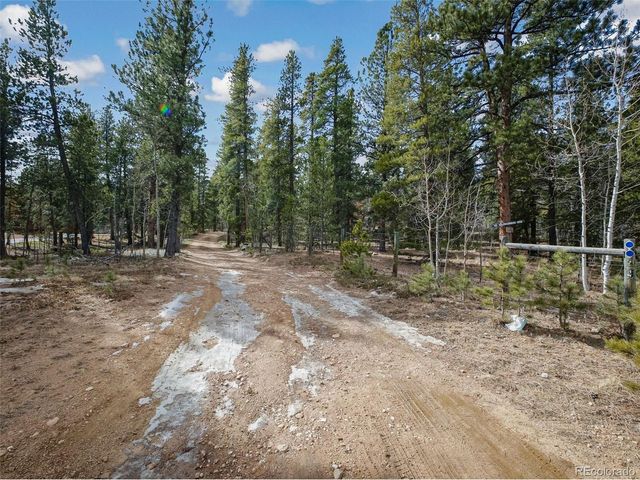 89 Prospectors Way, Bailey, CO 80421