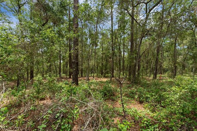 4048 LAKE GRIFFIN ROAD, Lady Lake, FL 32159