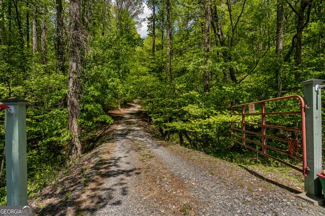 8954 Doublehead Gap Road, Blue Ridge, GA 30513