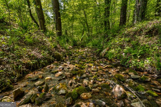 8954 Doublehead Gap Road, Blue Ridge, GA 30513