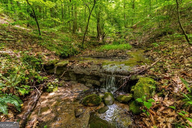 8954 Doublehead Gap Road, Blue Ridge, GA 30513