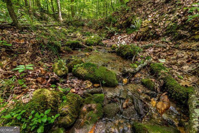 8954 Doublehead Gap Road, Blue Ridge, GA 30513
