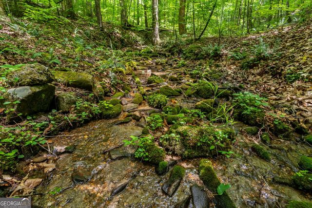 8954 Doublehead Gap Road, Blue Ridge, GA 30513