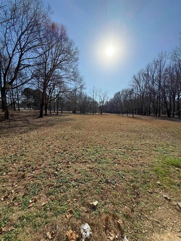 214 Shafer Trl, Austin, AR 72007