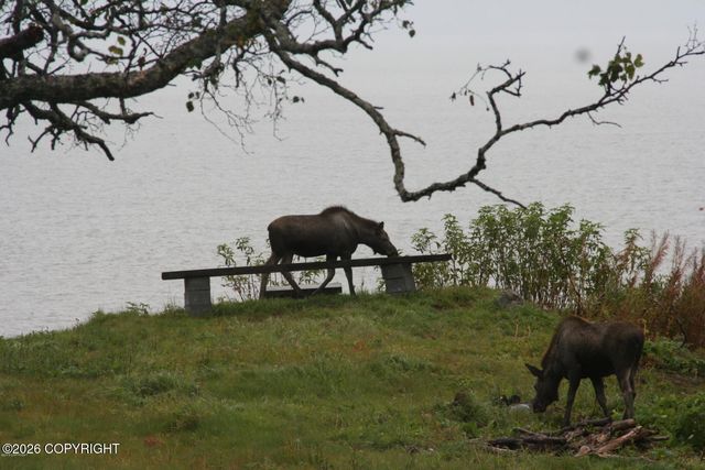 64316 Elizabeth Avenue, Ninilchik, AK 99639