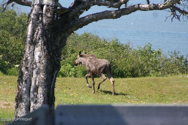 64316 Elizabeth Avenue, Ninilchik, AK 99639