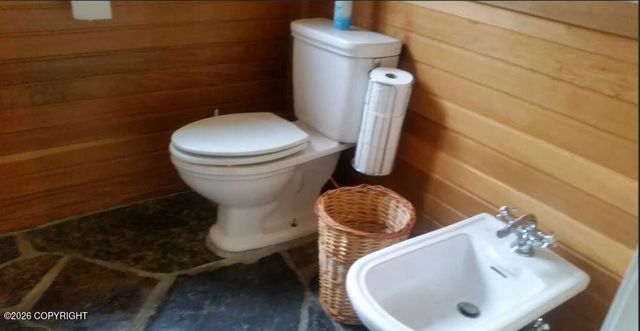 64316 Elizabeth Avenue, Ninilchik, AK 99639