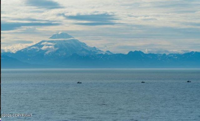 64316 Elizabeth Avenue, Ninilchik, AK 99639