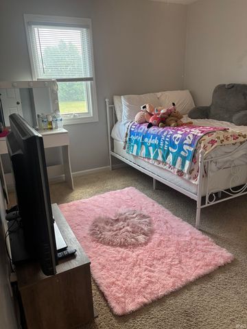 1009 Mallard Drive, Bristol, IN 46507