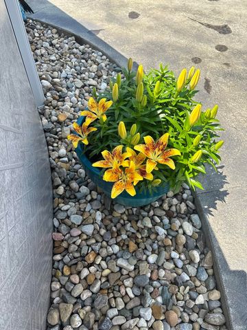 1009 Mallard Drive, Bristol, IN 46507